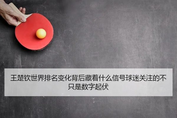 王楚钦世界排名变化背后藏着什么信号球迷关注的不只是数字起伏